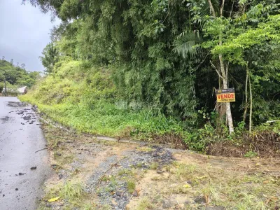 Lote/Terreno em Luiz Alves no bairro Braço da Onça