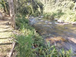 Descubra o Paraíso à beira do Ribeirão! 