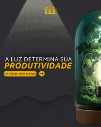 A LUZ DETERMINA SUA PRODUTIVIDADE