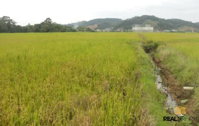 Lote/Terreno em Gaspar no bairro Gaspar Grande