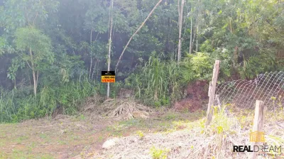Lote/Terreno em Luiz Alves no bairro Braço da Onça