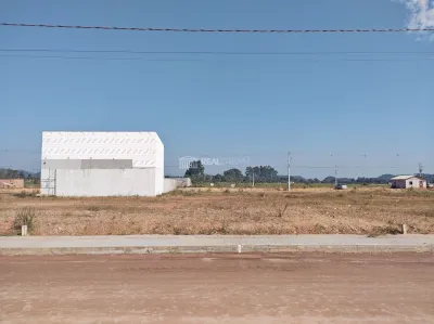 Lote/Terreno em Ilhota no bairro Pocinho