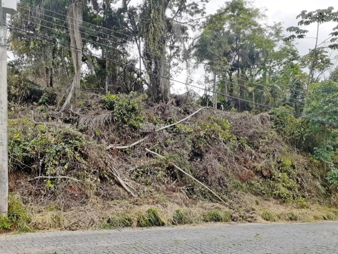 Lote/Terreno em Blumenau no bairro Itoupava Norte