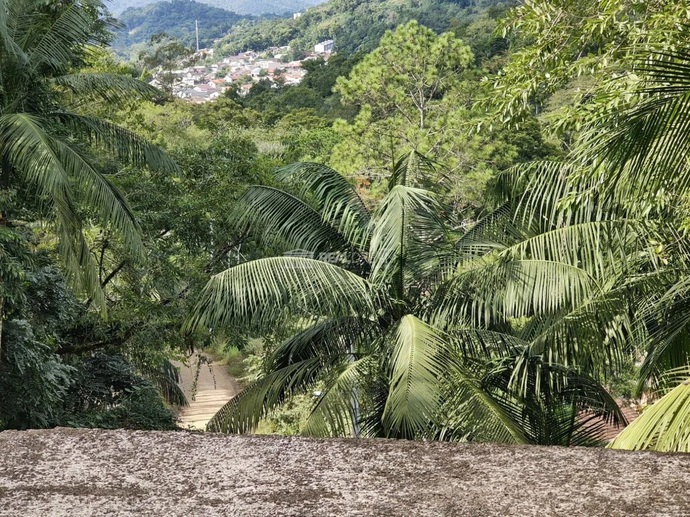 Chácara em Blumenau no bairro Passo Manso