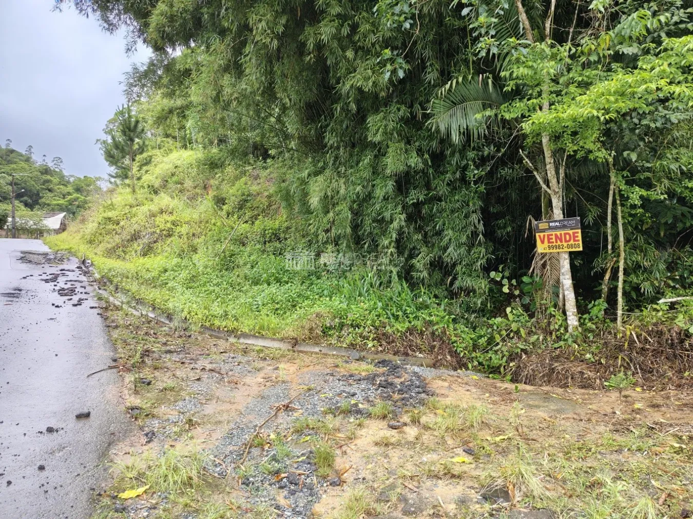 Lote/Terreno em Luiz Alves no bairro Braço da Onça