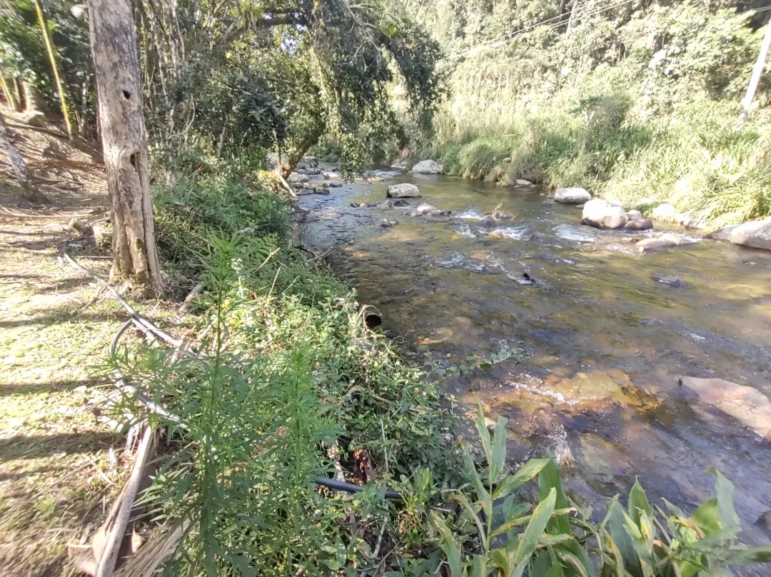 Descubra o Paraíso à beira do Ribeirão! 