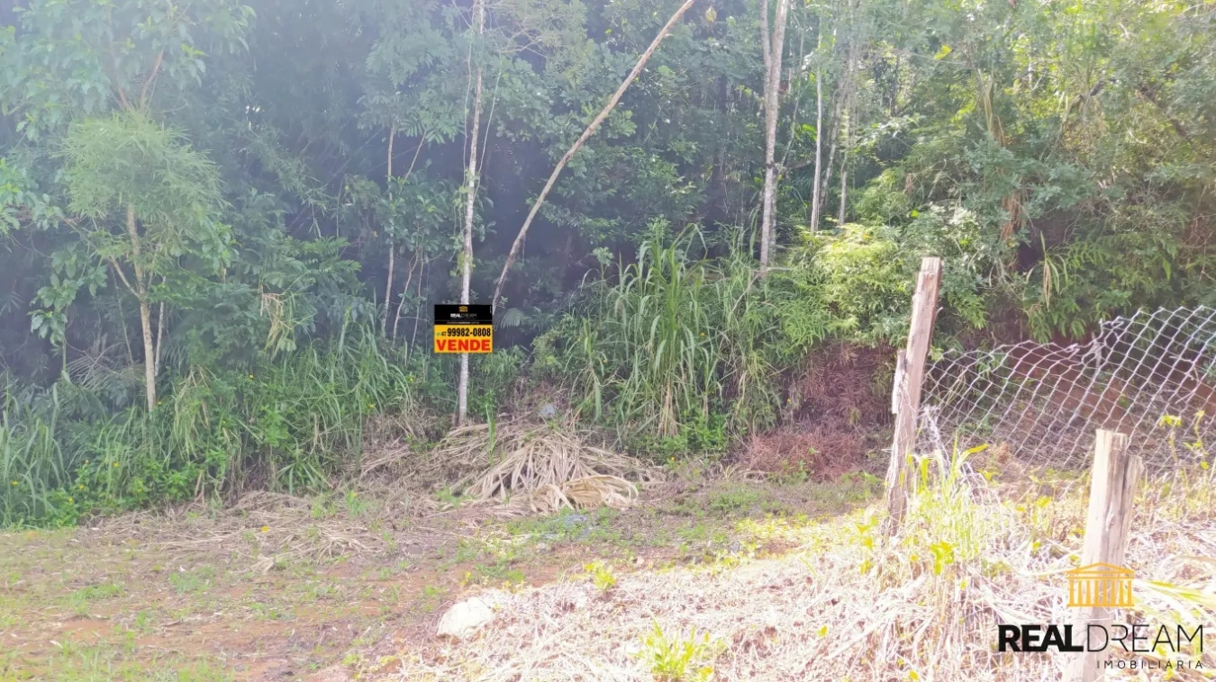 Lote/Terreno em Luiz Alves no bairro Braço da Onça
