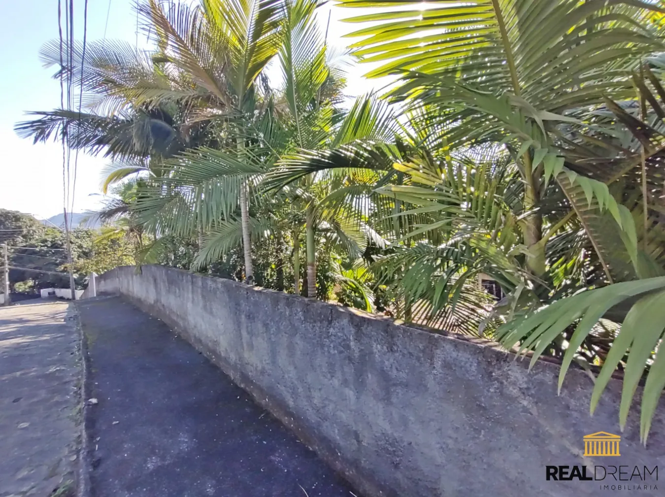 Lote/Terreno em Blumenau no bairro Itoupava Central