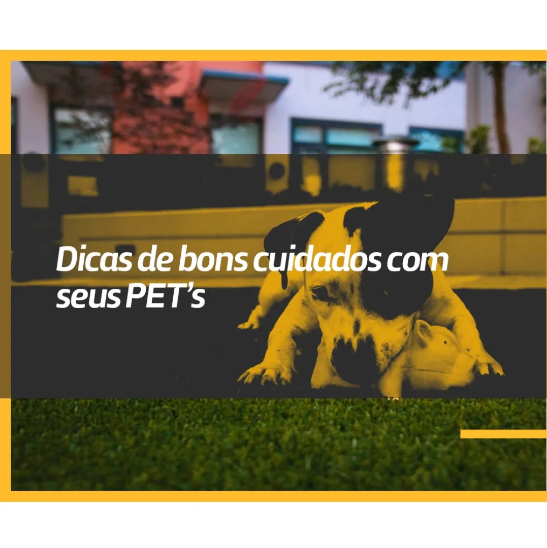 CUIDADOS NECESSÁRIOS COM O SEU PET’S